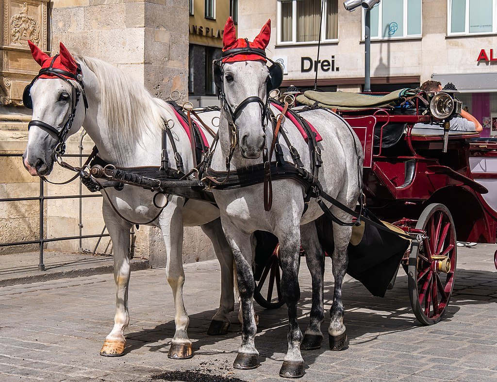 Βόλτα με άμαξα και άλογα σε δρόμους της Βιέννης.