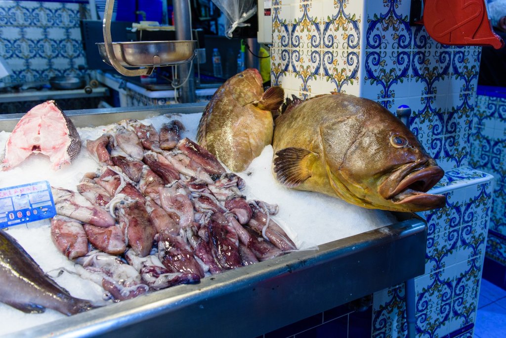 Ποικιλία ψαριών santa cruz.